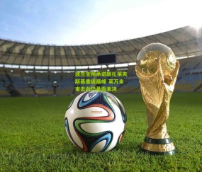 开云官网，开云入口，kaiyun下载，开云平台，开云数据中心-波兰主帅承诺助扎莱夫斯基重返巅峰 莱万未来去向仍悬而未决