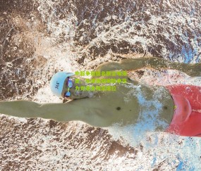 开云官网，开云入口，kaiyun下载，开云平台，开云数据中心_中超争冠组名额尘埃落定，毕津浩双响助申花力克建业锁定席位