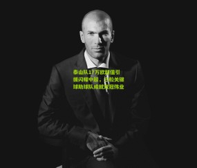 开云官网，开云入口，kaiyun下载，开云平台，开云数据中心：泰山队17万欧超值引援闪耀中超，三粒关键球助球队成就双冠伟业